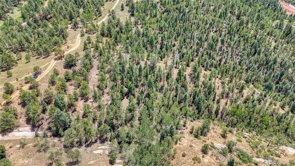 24 Wild Horse CIR, Cripple Creek, CO 80813