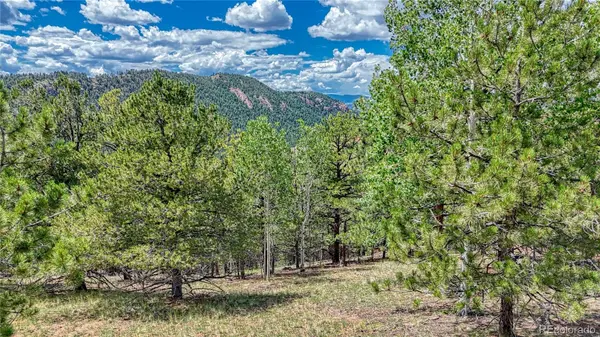 24 Wild Horse CIR, Cripple Creek, CO 80813