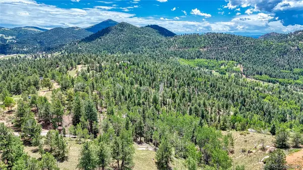 24 Wild Horse CIR, Cripple Creek, CO 80813