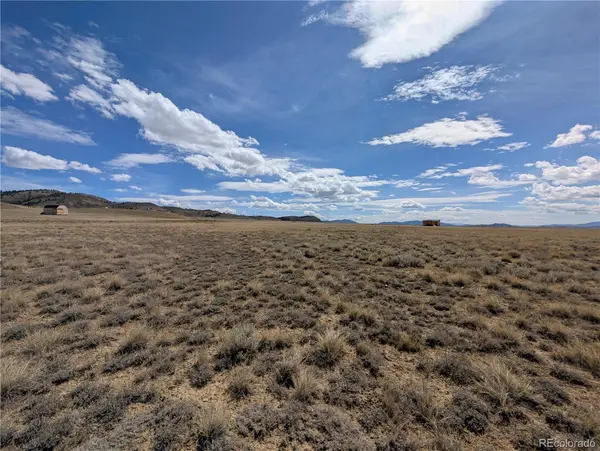 728 Routt RD, Hartsel, CO 80449