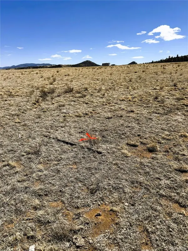 Lot 52 Gila WAY, Hartsel, CO 80449