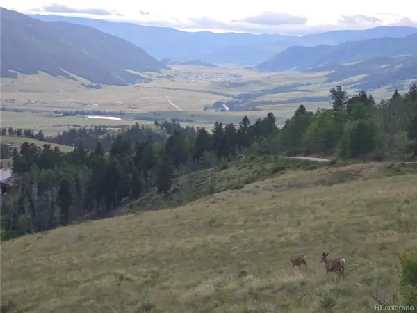 487 County Road 504 Bachelor LOOP, Creede, CO 81130