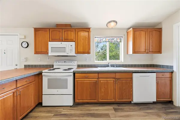 20300 Old Ranch LOOP, Nathrop, CO 81236