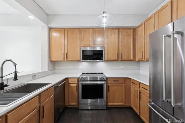 1699 N Downing ST #309, Denver, CO 80218