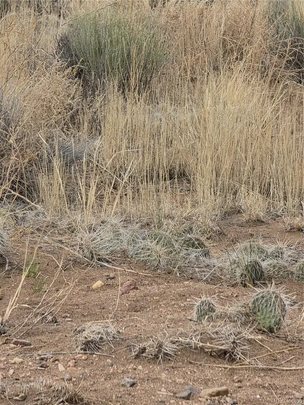 Lot 17 E Denver Rd., Blanca, CO 81123