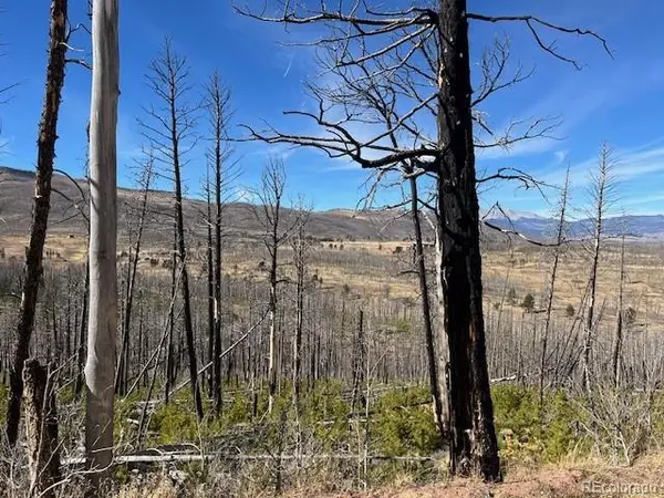 Lot 1741 Mathlide PL, Fort Garland, CO 81133