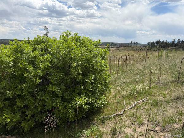 13810 Wildoak DR, Colorado Springs, CO 80908