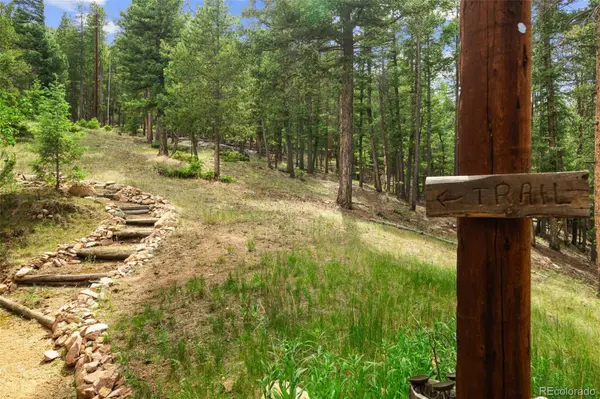 12191 Tecumseh TRL, Conifer, CO 80433
