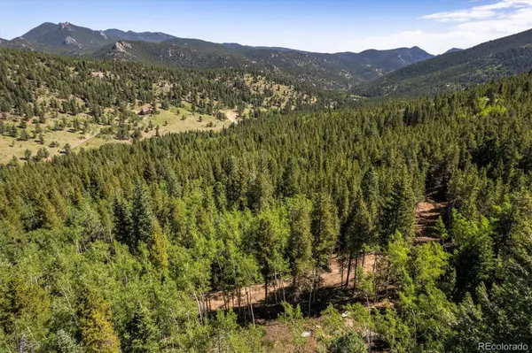 3450 Smith Hill RD, Black Hawk, CO 80422