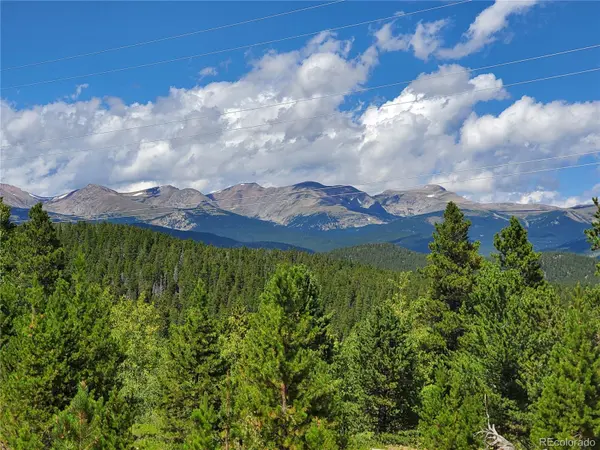01 S Spring Gulch RD, Idaho Springs, CO 80452