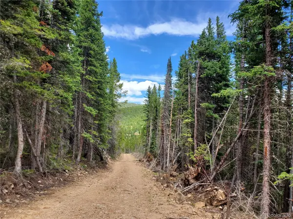 01 S Spring Gulch RD, Idaho Springs, CO 80452