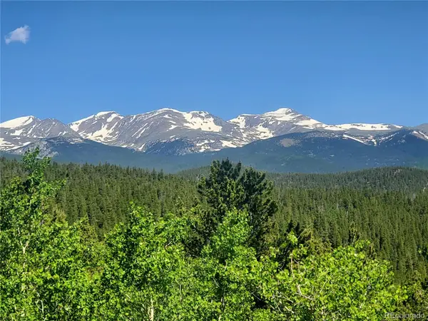 01 S Spring Gulch RD, Idaho Springs, CO 80452