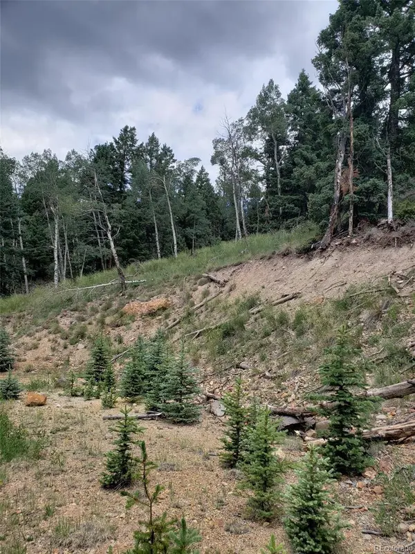 10th ST, Jasper, CO 81144