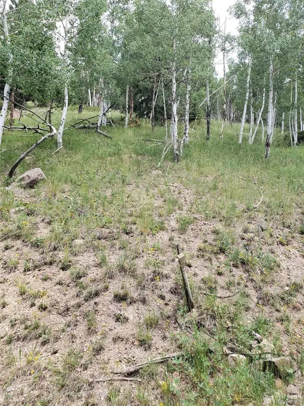 10th ST, Jasper, CO 81144
