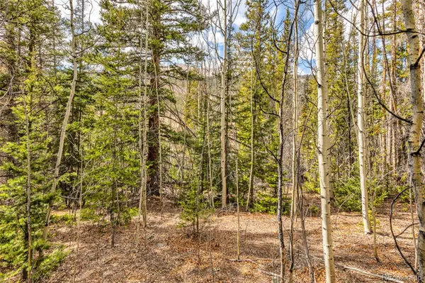 55780 Highway 9, Alma, CO 80440