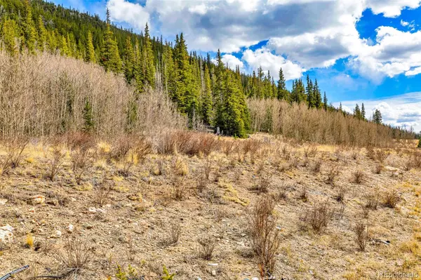 55780 Highway 9, Alma, CO 80440
