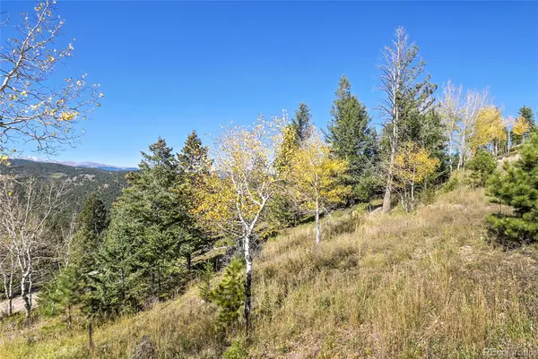 000 Granite Crag CIR, Evergreen, CO 80439