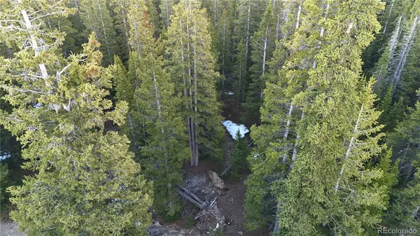 252 Silverheels PL, Fairplay, CO 80440