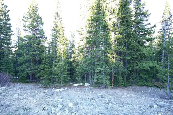 252 Silverheels PL, Fairplay, CO 80440