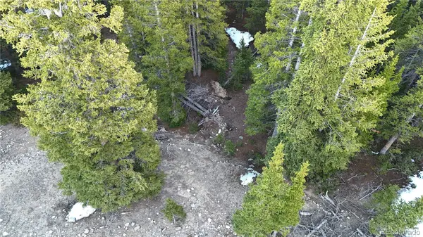 252 Silverheels PL, Fairplay, CO 80440