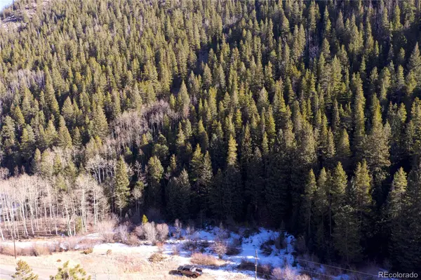 00 Highway 103, Idaho Springs, CO 80452