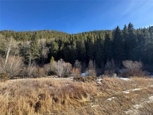 00 Highway 103, Idaho Springs, CO 80452
