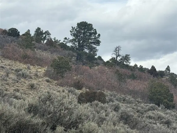 Lot 129 Flavin LN, Fort Garland, CO 81133