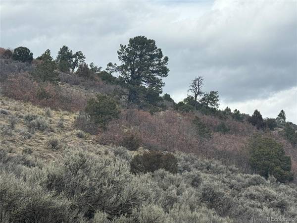 Lot 129 Flavin LN, Fort Garland, CO 81133