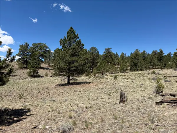 595 Bridle PATH, Hartsel, CO 80449