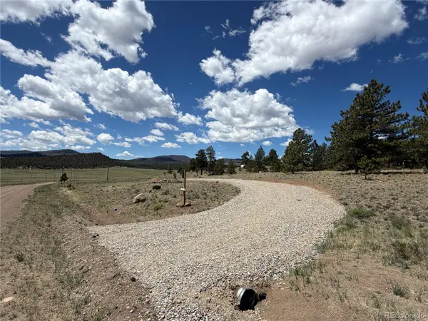 595 Bridle PATH, Hartsel, CO 80449