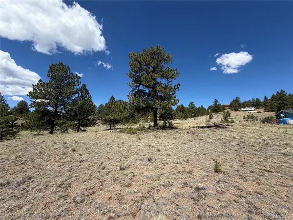 595 Bridle PATH, Hartsel, CO 80449