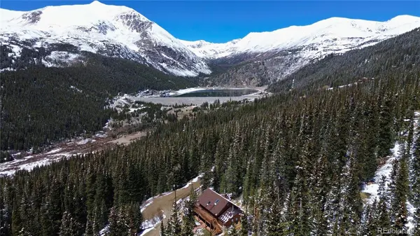 232 Goldfinch PL, Alma, CO 80420