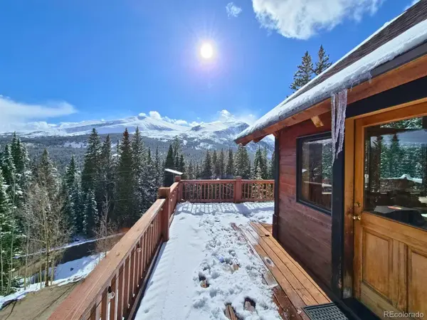 232 Goldfinch PL, Alma, CO 80420