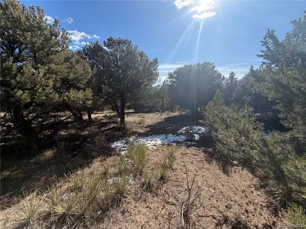 390 Cameron Pass RD, South Fork, CO 81154