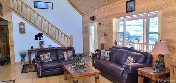 1321 Bristlecone RD, Guffey, CO 80820