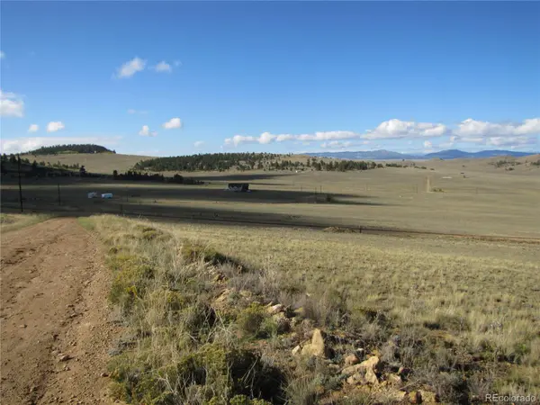533 Cohonina RD, Hartsel, CO 80449