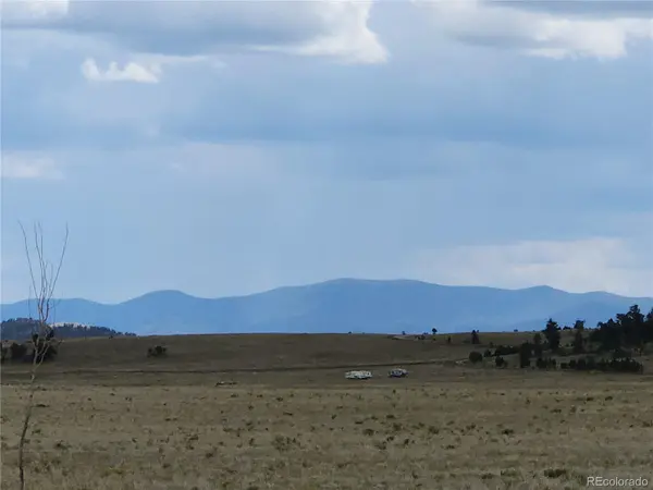 878 Cheyenne TRL, Hartsel, CO 80449