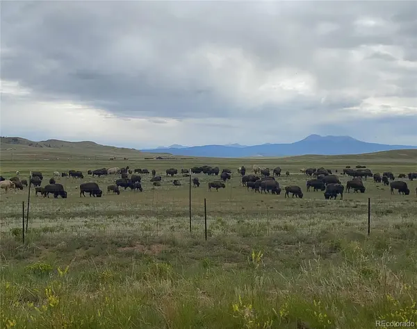 878 Cheyenne TRL, Hartsel, CO 80449