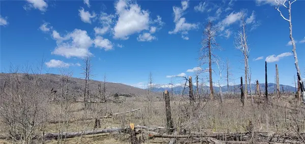 lot  1228 Granville LOOP, Fort Garland, CO 81133