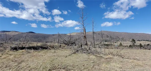 lot  1228 Granville LOOP, Fort Garland, CO 81133