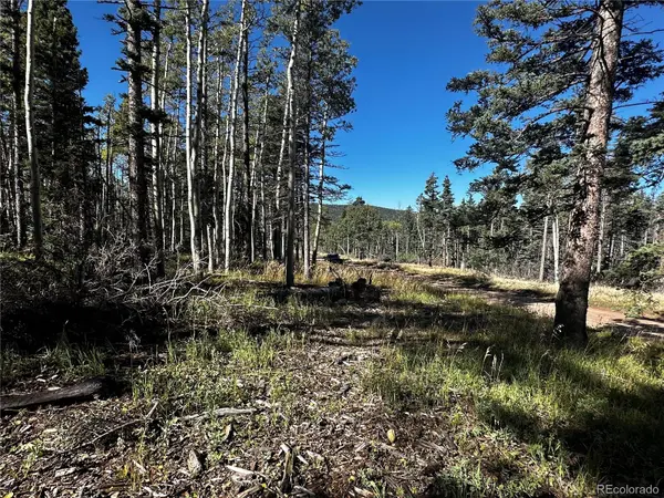 Lot 2652 Petito DR, Fort Garland, CO 81133