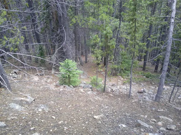 Lot #441 Hillside RD, Idaho Springs, CO 80452