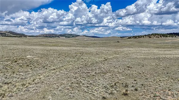 4332 Goldenburg Canyon RD, Hartsel, CO 80449