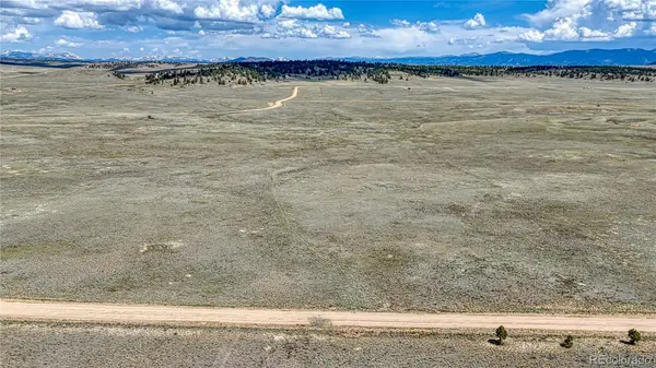 4332 Goldenburg Canyon RD, Hartsel, CO 80449