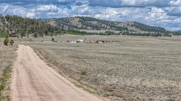 4332 Goldenburg Canyon RD, Hartsel, CO 80449