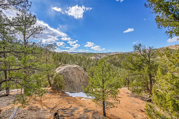 17016 Icehouse CT, Pine, CO 80470