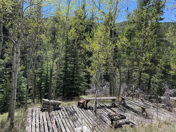 190 Blue Bell LN, Idaho Springs, CO 80452