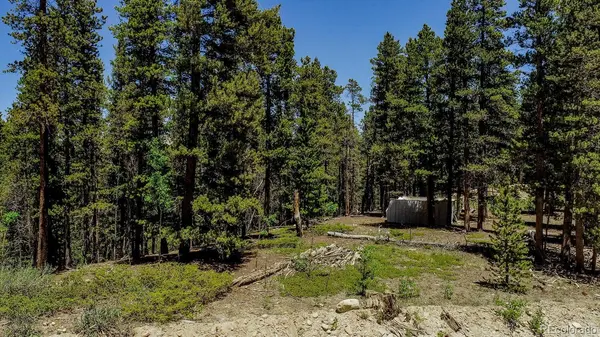 4100 CO RD 1, Fairplay, CO 80440