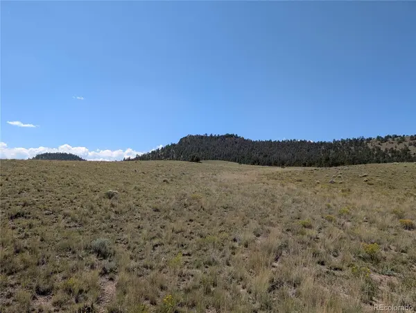 0 Cherokee TRL, Hartsel, CO 80449