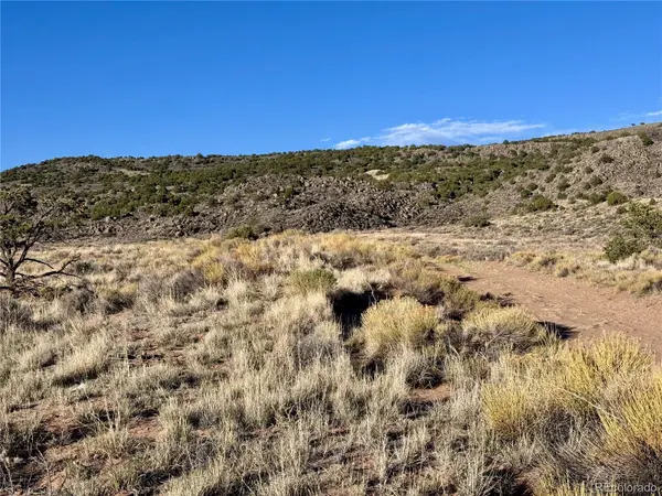 Lot 10 Calvary TRL, San Luis, CO 81152